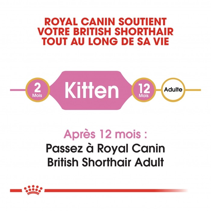 Alimentation pour chat - Royal Canin British Shorthair Kitten pour chats