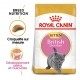 Alimentation pour chat - Royal Canin British Shorthair Kitten pour chats