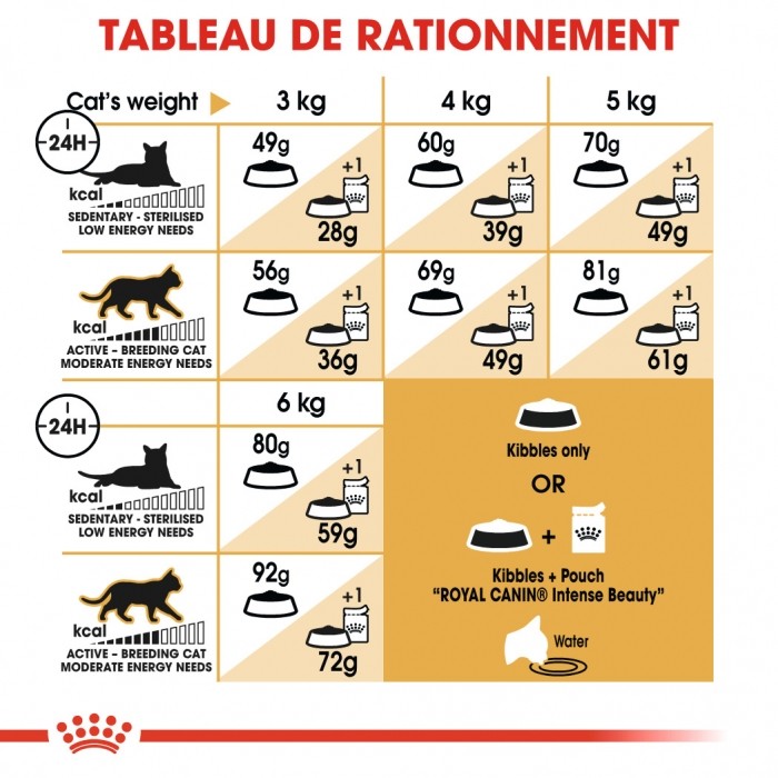 Alimentation pour chat - Royal Canin Sphynx Adult pour chats