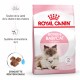 Alimentation pour chat - ROYAL CANIN Mother & BabyCat - Croquettes pour chatte et chaton pour chats