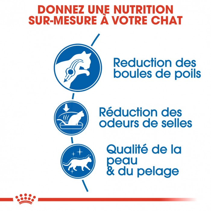 Alimentation pour chat - Royal Canin Indoor Long Hair pour chats