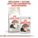 Alimentation pour chat - Royal Canin Ageing 12+ pour chats