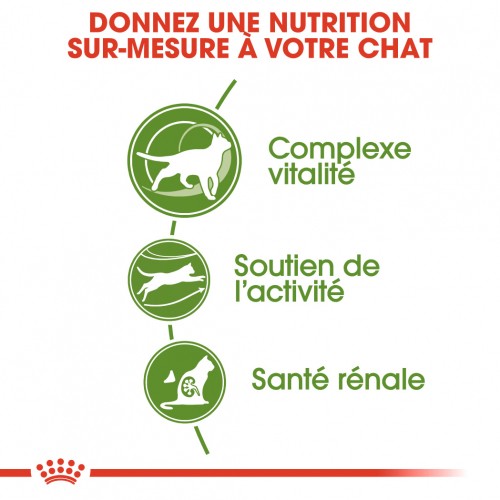 Alimentation pour chat - Royal Canin Outdoor 7+ pour chats