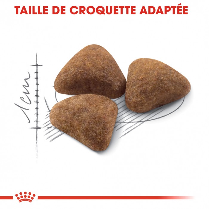 Alimentation pour chat - Royal Canin Indoor 27 pour chats