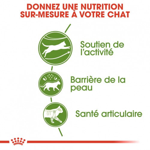 Alimentation pour chat - Royal Canin Outdoor pour chats