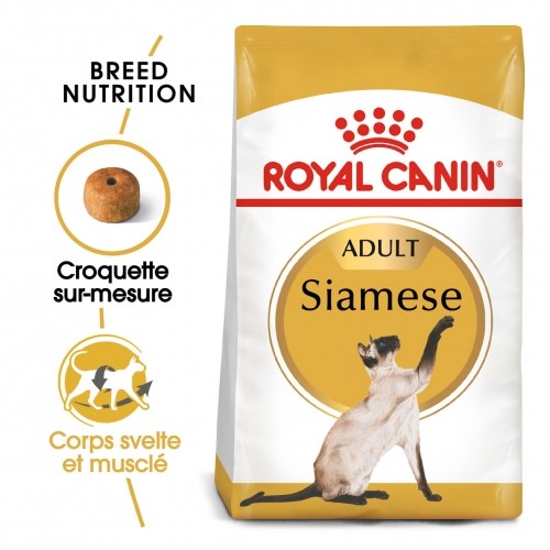 Alimentation pour chat - Royal Canin Siamois Adult pour chats