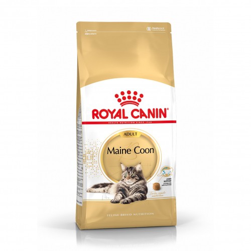 Alimentation pour chat - Royal Canin Maine Coon Adult - Croquettes pour chat pour chats