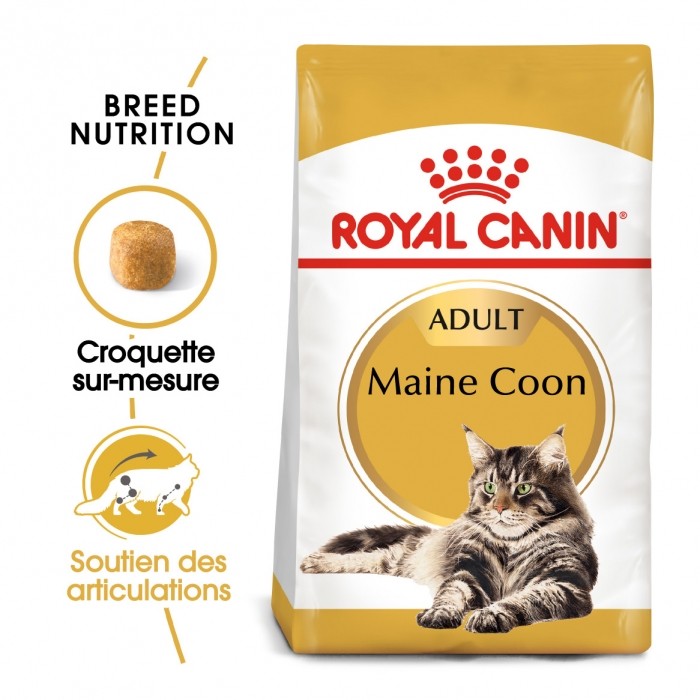 Alimentation pour chat - Royal Canin Maine Coon Adult - Croquettes pour chat pour chats