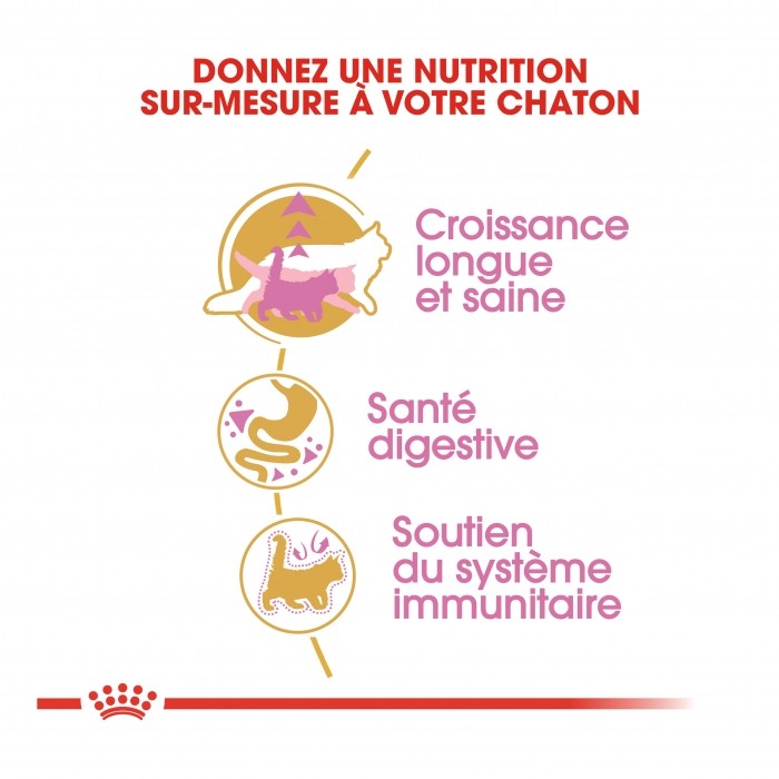 Alimentation pour chat - Royal Canin Maine Coon Kitten pour chats