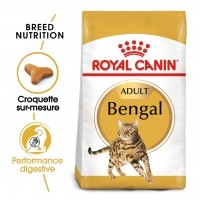 Croquettes pour chat - Royal Canin Bengal Adult Bengal