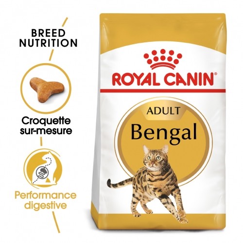 Care Friday - Royal Canin Bengal Adult pour chats