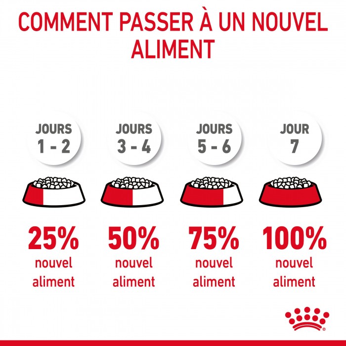 Alimentation pour chat - Royal Canin Hairball Care pour chats