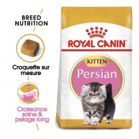 Croquettes pour chat - Royal Canin Persian Kitten Persian Kitten