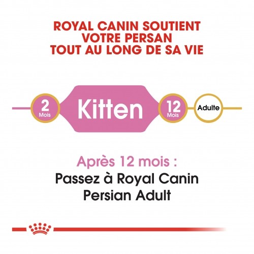 Alimentation pour chat - Royal Canin Persian Kitten pour chats