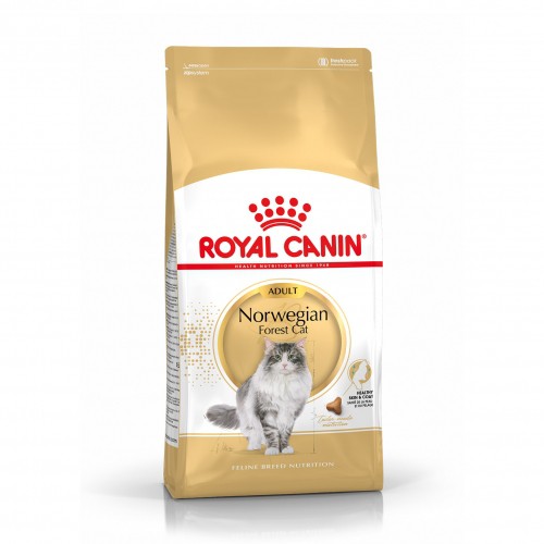 Alimentation pour chat - Royal Canin Norvégien Adult pour chats