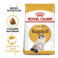 Croquettes pour chat - Royal Canin Ragdoll Adult Ragdoll