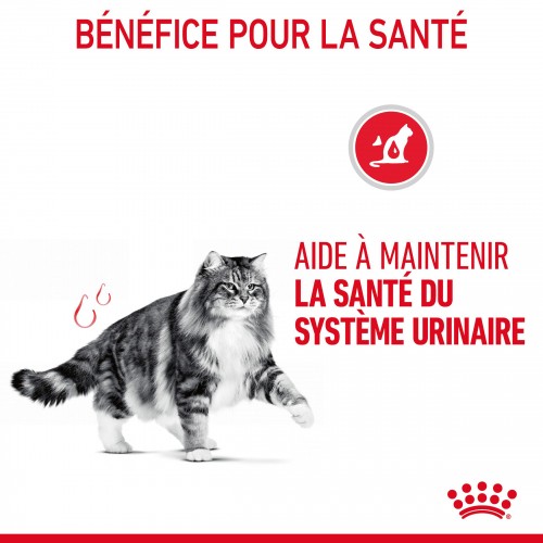 Alimentation pour chat - Royal Canin Urinary Care pour chats