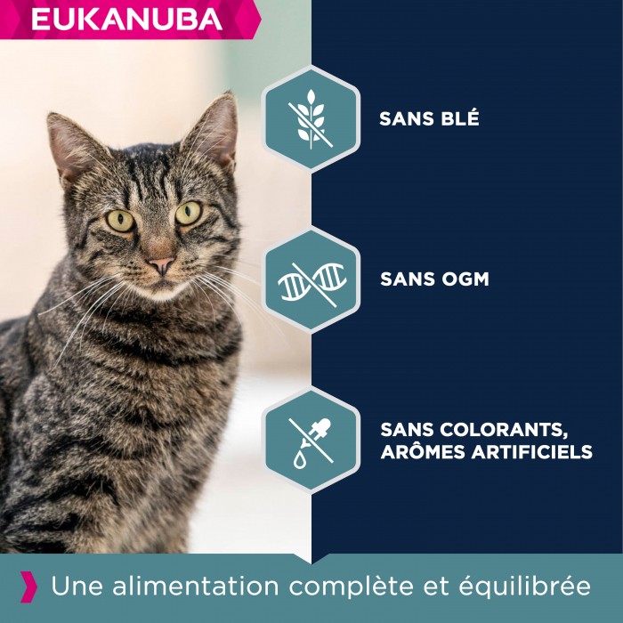 Alimentation pour chat - Eukanuba Adult 1+ Top Condition pour chats