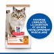 Alimentation pour chat - HILL'S Science Plan No Grain Adult au Poulet - Croquettes pour chat pour chats