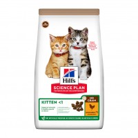 Croquettes pour chaton - HILL'S Science Plan No Grain Kitten au Poulet - Croquettes pour chaton 