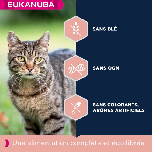 Alimentation pour chat - Eukanuba Adult 7+ Top Condition pour chats