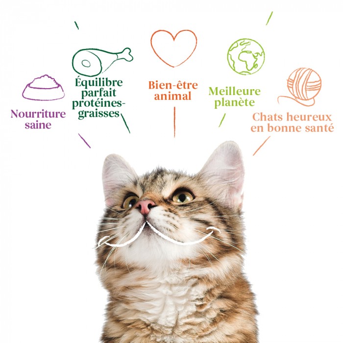 Alimentation pour chat - Yarrah croquettes bio sans céréales pour chat adulte pour chats
