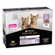 Alimentation pour chat - PRO PLAN Healthy Start Kitten en terrine à la Dinde - Pâtée pour chaton pour chats