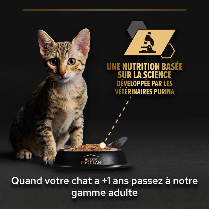 Alimentation pour chat - PRO PLAN Healthy Start Kitten en mousse au Poulet - Pâtée pour chaton pour chats