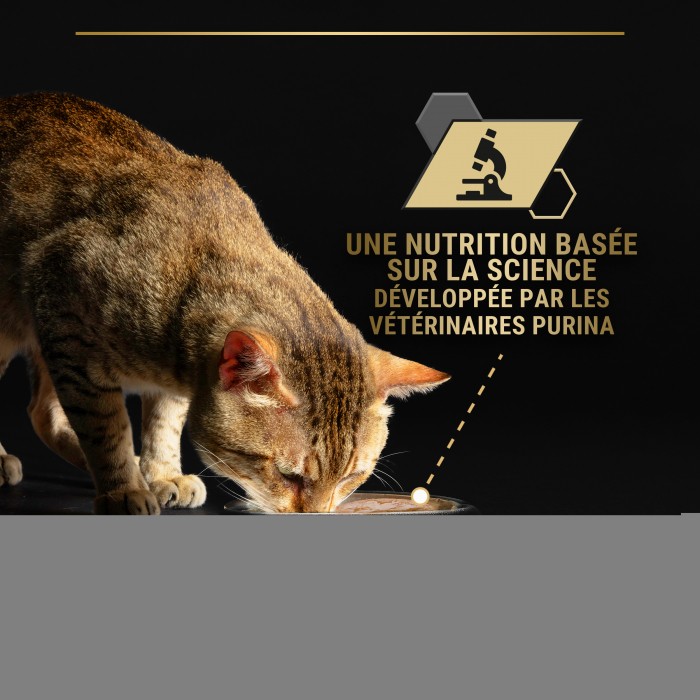 Alimentation pour chat - PRO PLAN Longevis Senior en mousse au thon - Pâtée pour chat pour chats