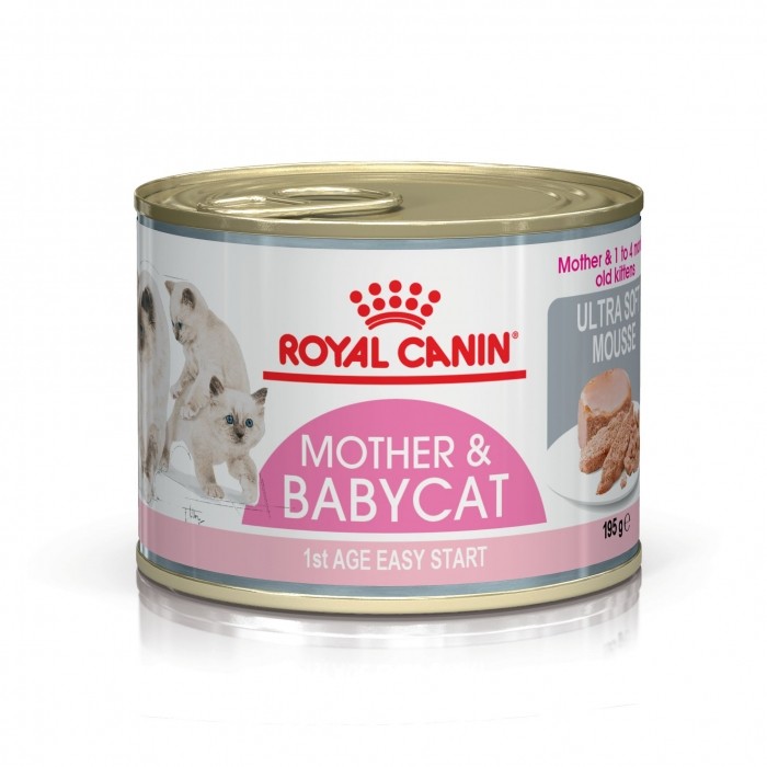 Alimentation pour chat - Royal Canin Mother & Babycat pour chats