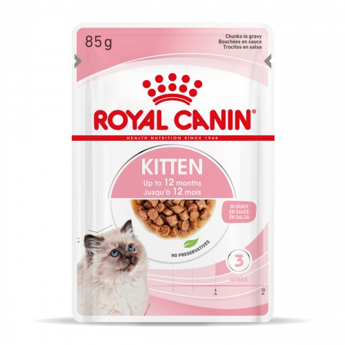 kitten chaton royal canin