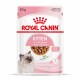 Alimentation pour chat - Royal Canin Kitten - Sauce pour chaton pour chats