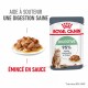 Alimentation pour chat - Royal Canin Digest Sensitive pour chats