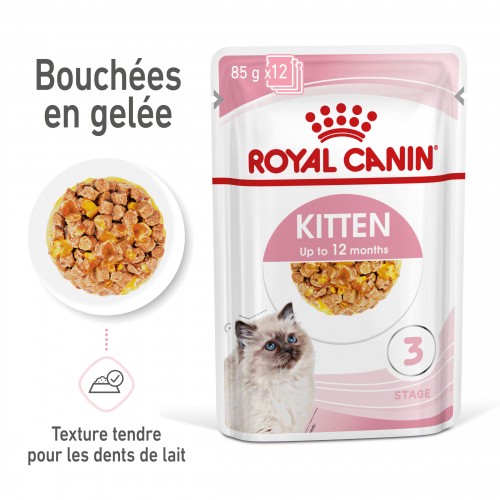 Alimentation pour chat - Royal Canin Kitten en Gelée - Pâtée pour chaton pour chats