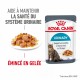 Alimentation pour chat - ROYAL CANIN Urinary Care en Gelée – Pâtée pour chat pour chats