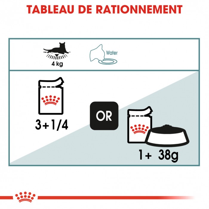 Alimentation pour chat - Royal Canin Hairball Care pour chats