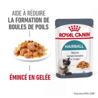 Pâtée en sachet pour chat - ROYAL CANIN Hairball Care en Gelée – Pâtée pour chat 