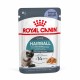 Alimentation pour chat - ROYAL CANIN Hairball Care en Gelée – Pâtée pour chat pour chats