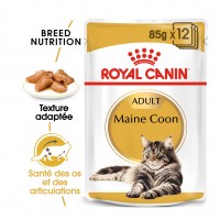 Sachet fraicheur pour chat - Royal Canin Maine Coon Maine Coon Adult sauce