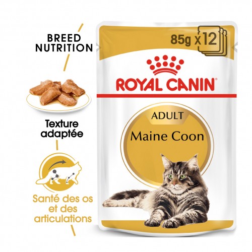 Care Friday - Royal Canin Maine Coon pour chats