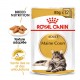 Alimentation pour chat - Royal Canin Maine Coon pour chats