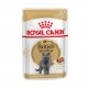 Care Friday - Royal Canin British Shorthair - Pâtée en sachet pour chat pour chats