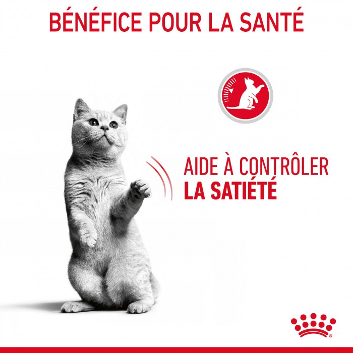 Alimentation pour chat - ROYAL CANIN Appetite Control en Gelée – Pâtée pour chat pour chats