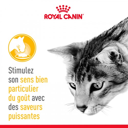 Alimentation pour chat - Royal Canin Sensory Taste pour chats