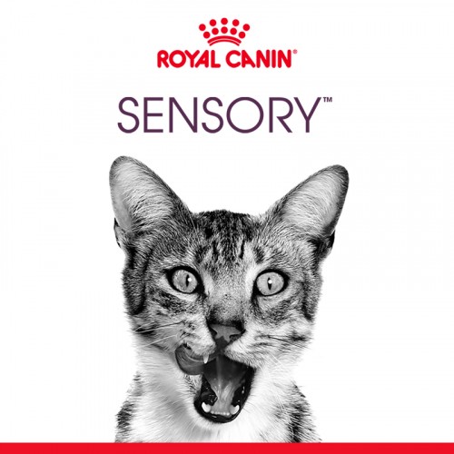 Alimentation pour chat - Royal Canin Sensory Taste pour chats