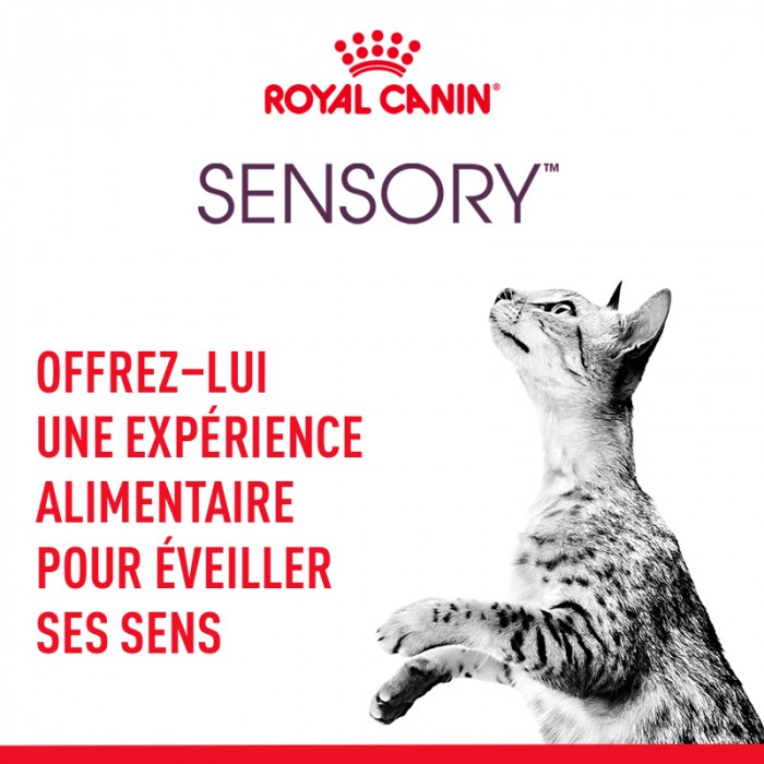Alimentation pour chat - Royal Canin Sensory Multipack pour chats