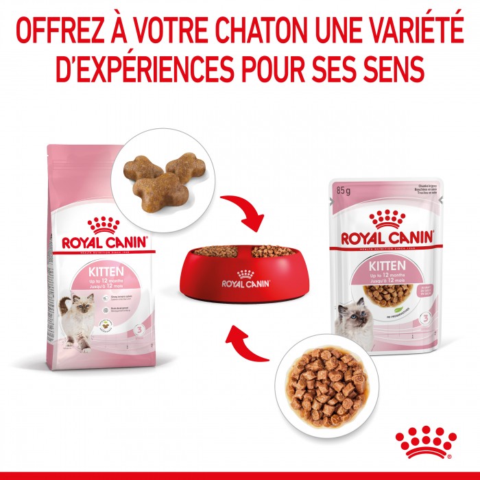 Alimentation pour chat - Royal Canin Kitten Multipack - Pâtées pour chaton pour chats