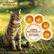 Alimentation pour chat - IAMS Naturally Saveurs Terre & Mer - multipack adulte pour chats