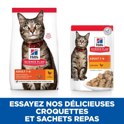 Alimentation pour chat - HILL'S Science Plan Adult en Sachets au Poulet & au Boeuf - Pâtée pour chat pour chats