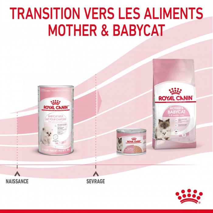 Alimentation pour chat - ROYAL CANIN Babycat Milk - Lait maternisé pour chaton pour chats